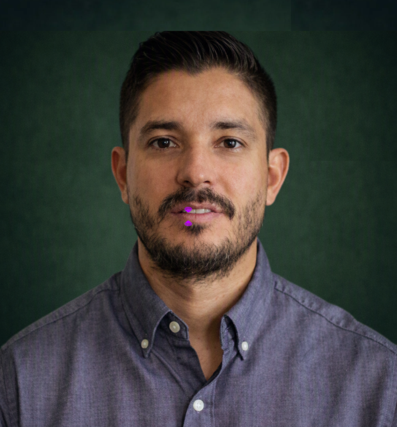 Ing. Francisco Castro